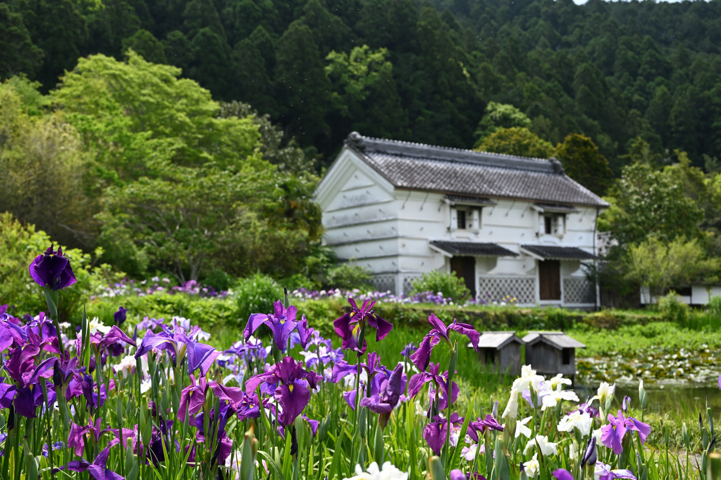 加茂荘　花鳥園